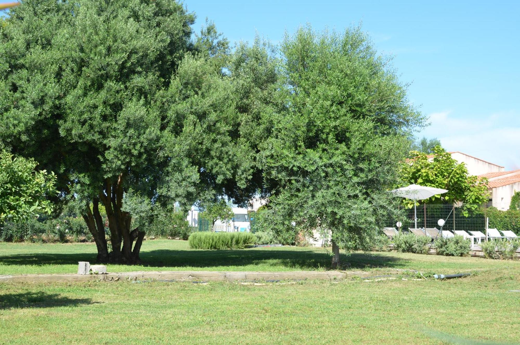 Villa Teti - Sicilia Campofelice Di Roccella Exterior foto